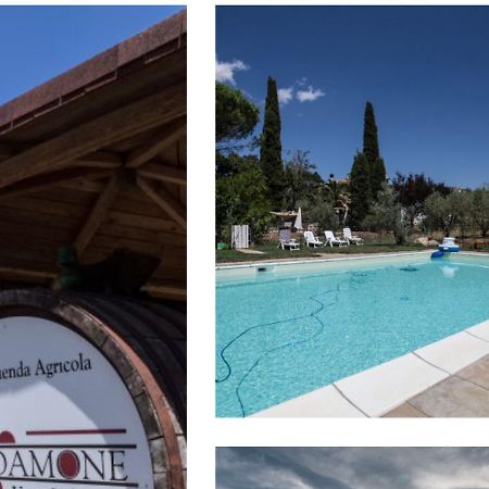 Villa Le Stanze Di Zelinda à Suvereto Extérieur photo